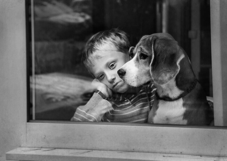 schools closed advice: A photo of a young boy and his dog at home alone