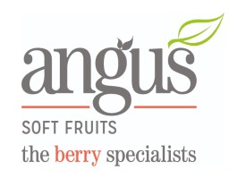 Angus Soft Fruits 275×200 Featured Image for Angus Soft Fruits