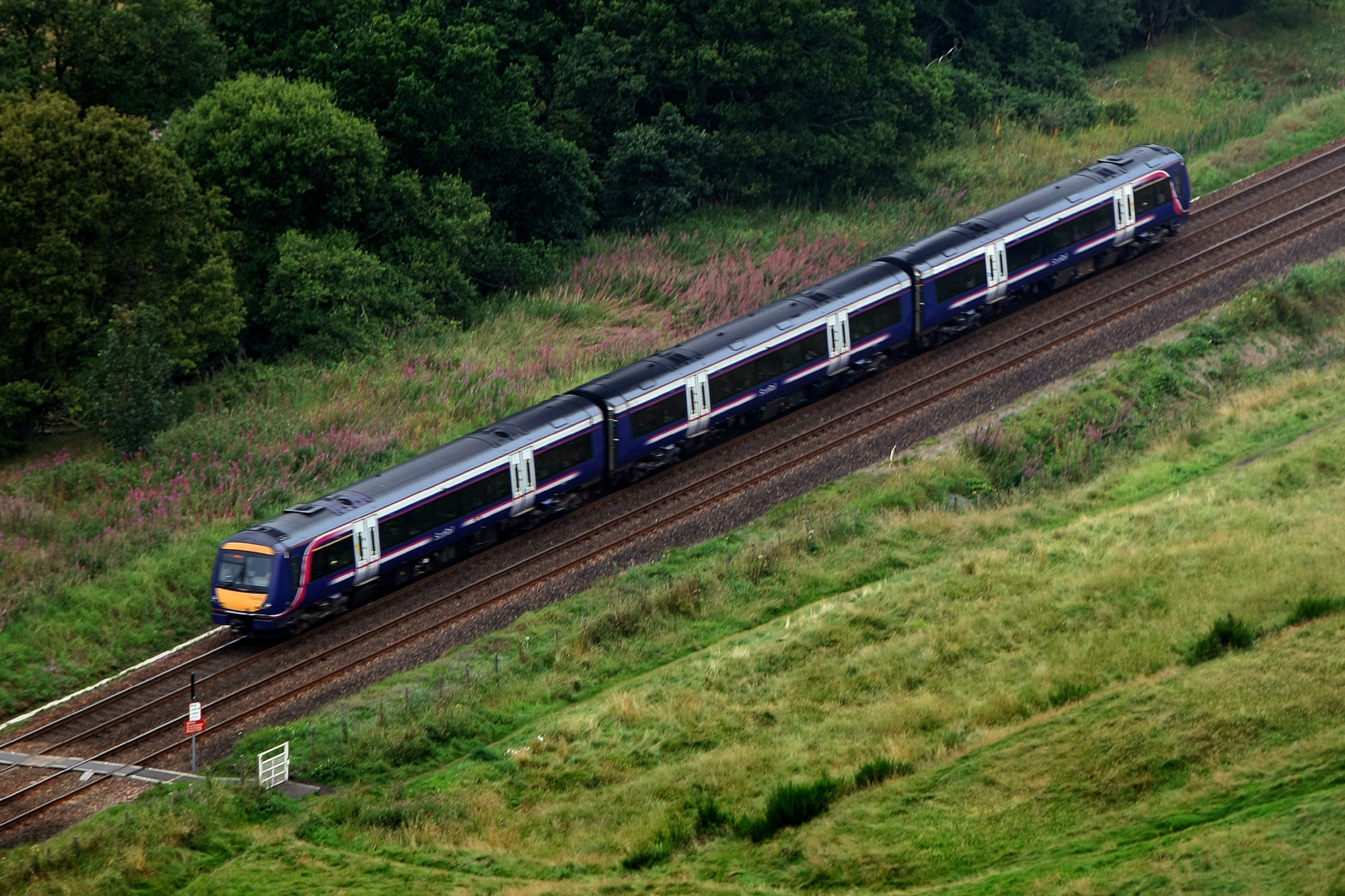 A ScotRail train.