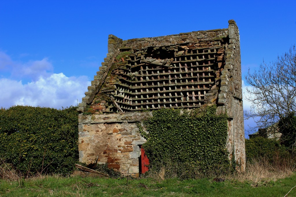 1. Dovecot at Boarhills - James Carron.jpg