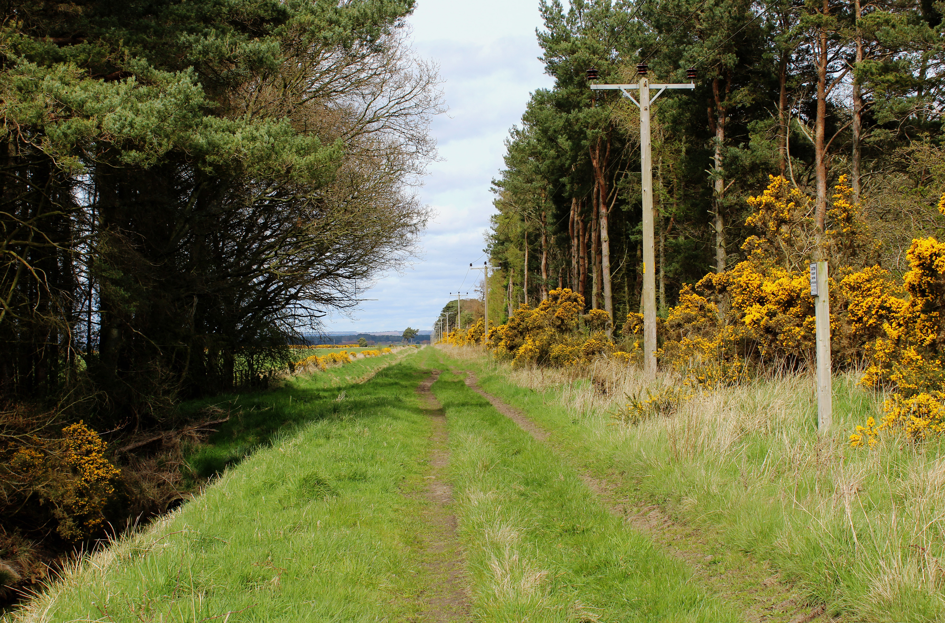 Track following course of old railway north from Leuchars.