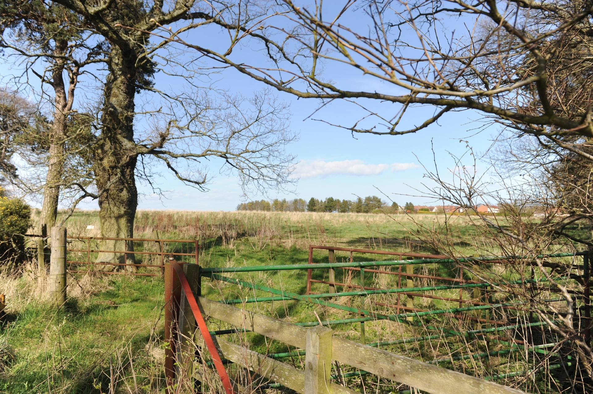 The Nydie Mains Road site in Strathkinness.