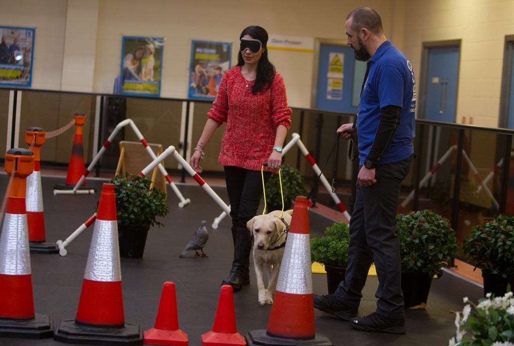 Gayle on a blindfolded walk with Susie and handler David Stewart.