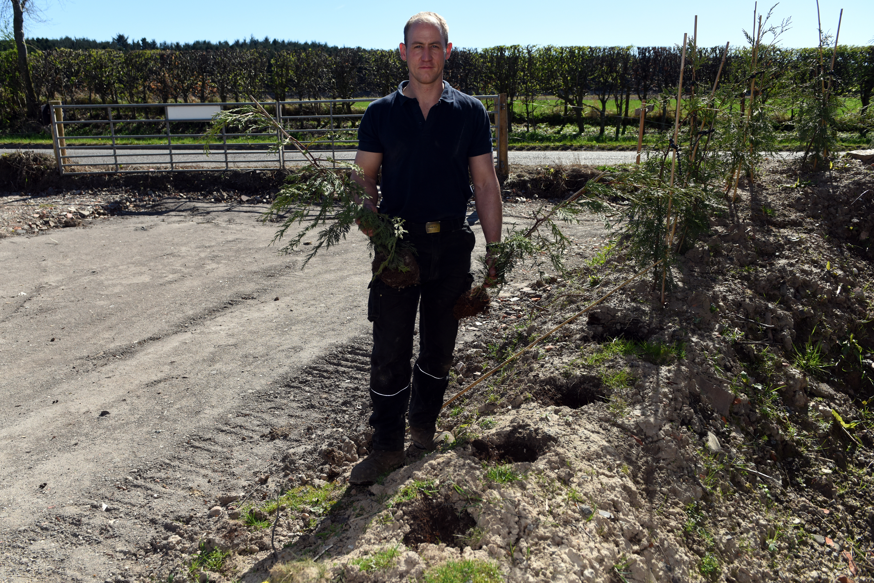 Rod Sim  surveys the area where trees planted by him have been uprooted and stolen