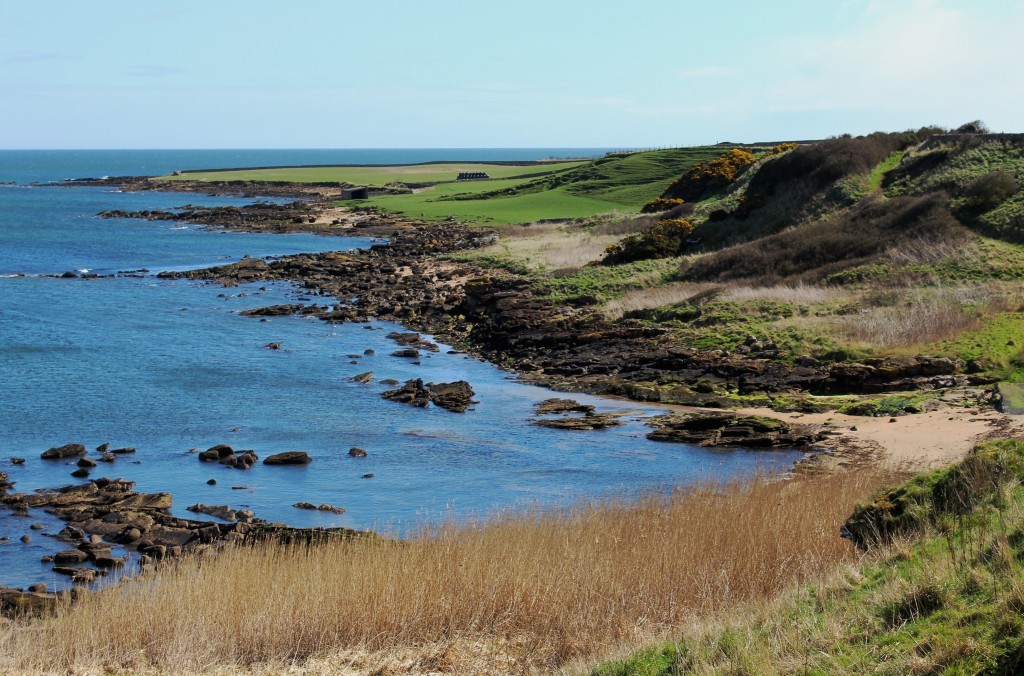 4. Coastline below Boarhills - James Carron.jpg