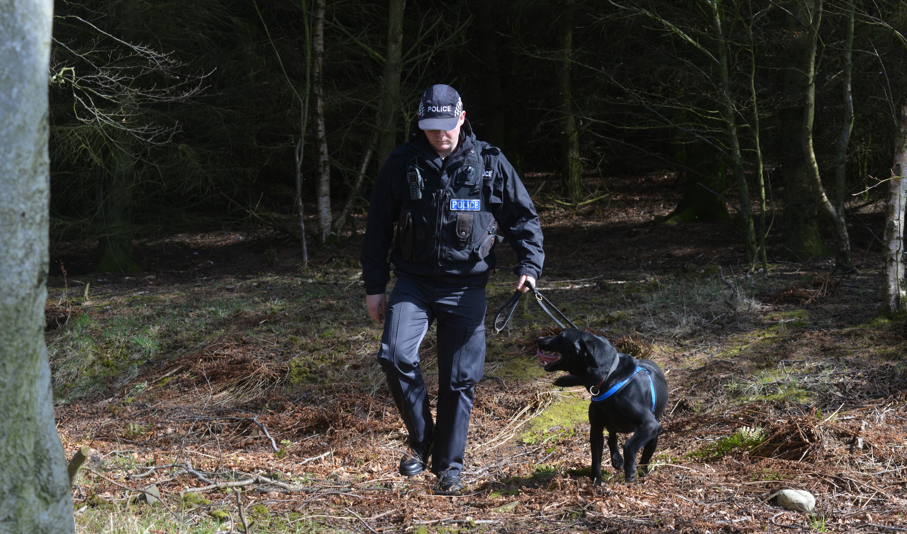 Police combing woodland at Scotlands Secret Bunker near Anstruther in Fife following up a new lead in the search for Allan Bryant Jnr.