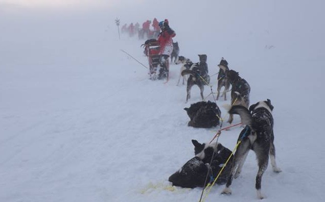 The Atte HUSKYteers tackle a mountain plateau heading towards Kiruna, Sweden, in a whiteout at -20c and 30mph winds.