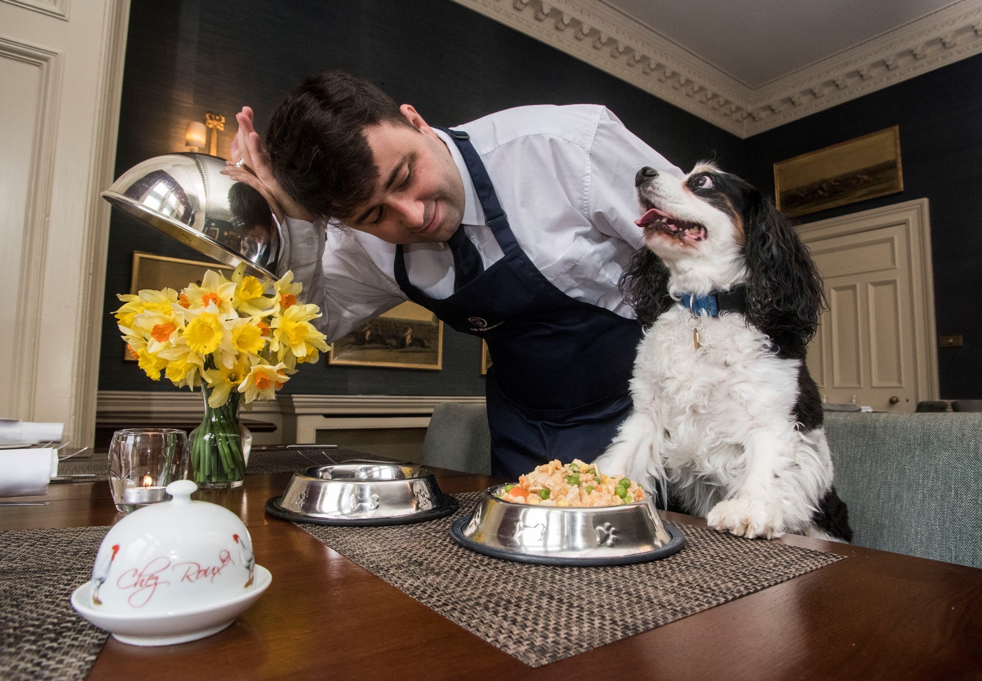 Dog's dinners will be served at Cromlix