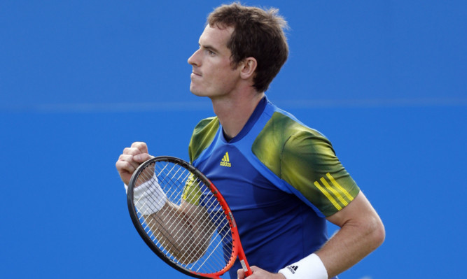 Andy Murray celebrates his victory against Marinko Matosevic.