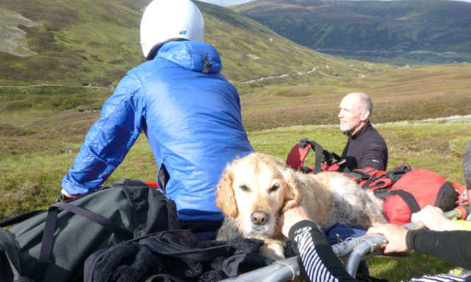 The mountain rescue team prepare to carry Beinn back to safety.