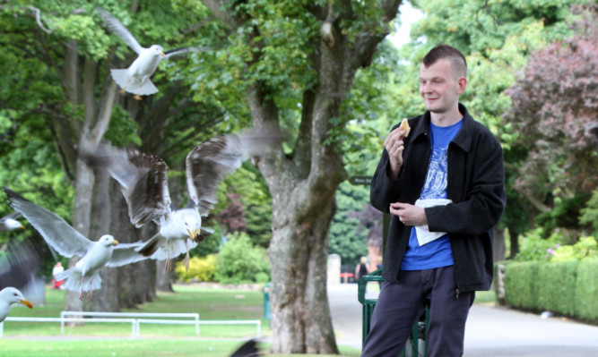 Peter Menellis runs the gauntlet of Beveridge Park with a morsel of pastry in hand after a seagull robbed him of a pie.