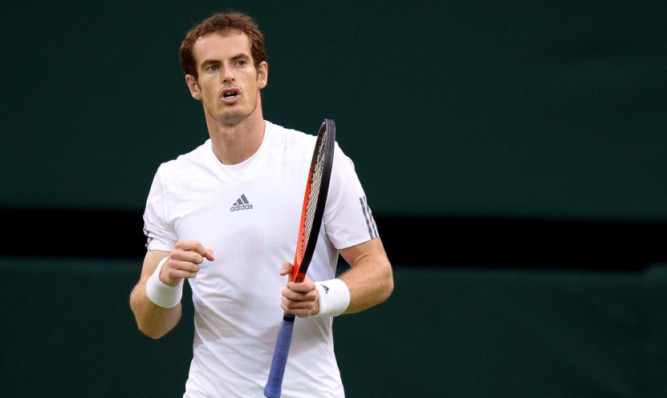 Andy Murray celebrates beating Tommy Robredo.