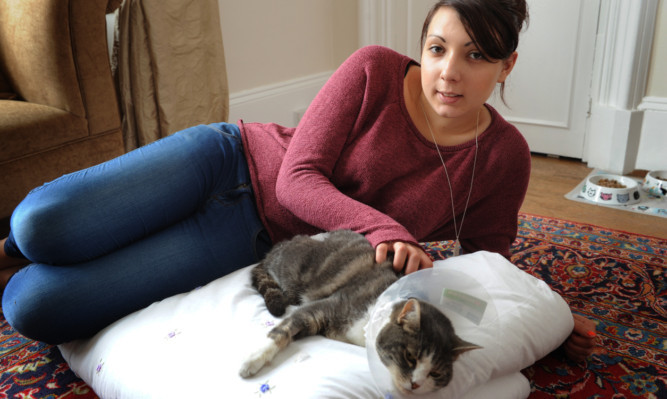 Alana Loffreda with her cat Molly.