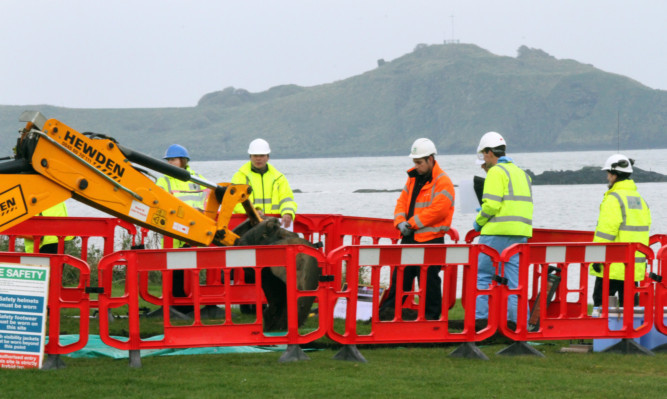 Workers digging boreholes while testing for radiation.