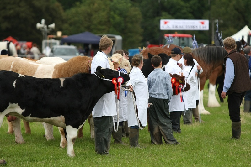 Kris Miller, Courier, 16/07/11. Picture today at Kirriemuir Show where it was a busy day despite the mixed weather and conditions. Pic shows exhibitors in the arena.
