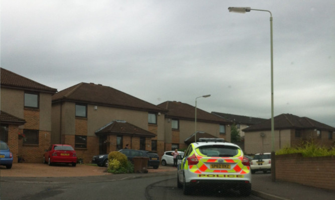 Police at Hillbank Gardens following the incident.