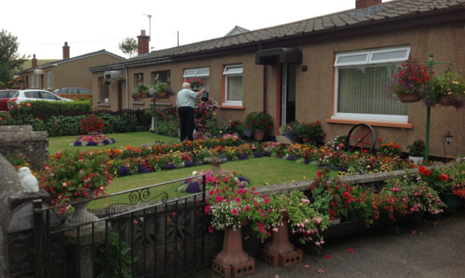 A Tannadice resident applies some finishing touches to their garden.