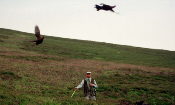 Grouse moors could play a vital role in saving threatened species.