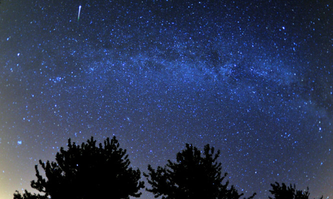 A meteor is seen during last night's celestial show.