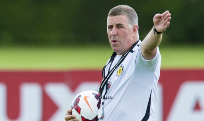 Scotland assistant coach Mark McGhee.