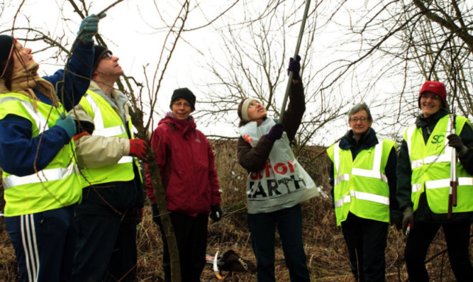 Volunteers from the Sustainable Cupar group pruning fruit trees along the Orchard Walk earlier this year.