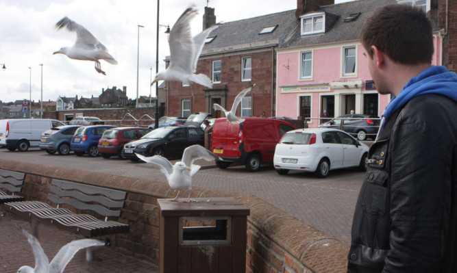 Councillor Martyn Geddes seeks a solution.