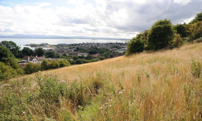 The proposed site for the homes.