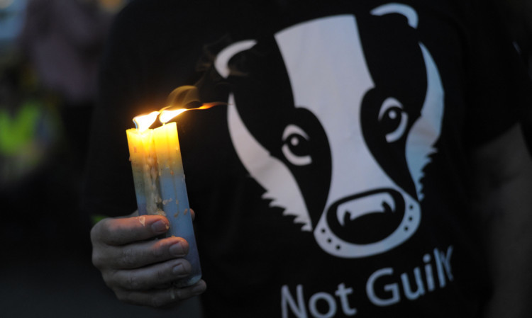 A protester during a candlelight vigil event organised by Somerset Badger Patrol on Monday night.