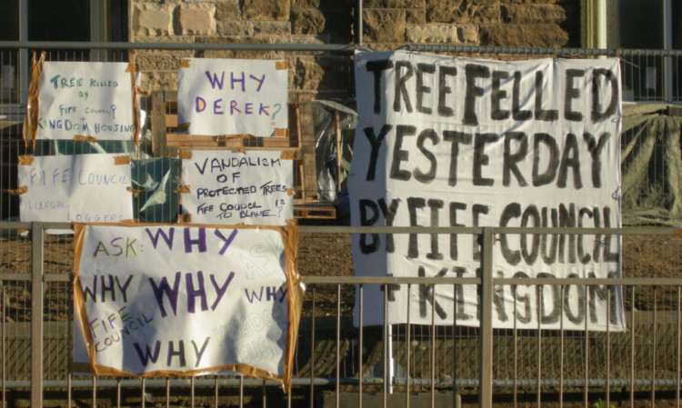Protesters hung up banners in Cupar highlighting their opposition to the felling of the tree.