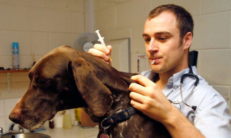 Dog owners have been urged to get their pets vaccinated.