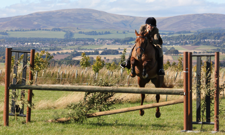Kirstie Williams and Teisha win The Courier/BHS Scotland working hunter qualifier for Blair Castle 2014