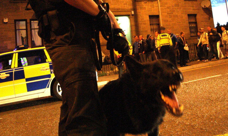 A police dog handler monitoring Moscow fans after the match.