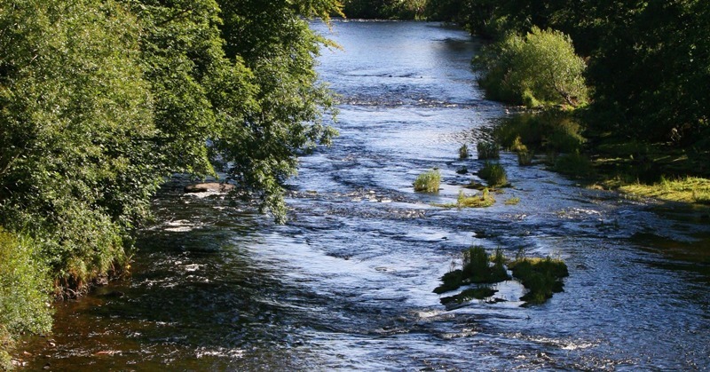 Pic shows the South Esk river in sunshine.