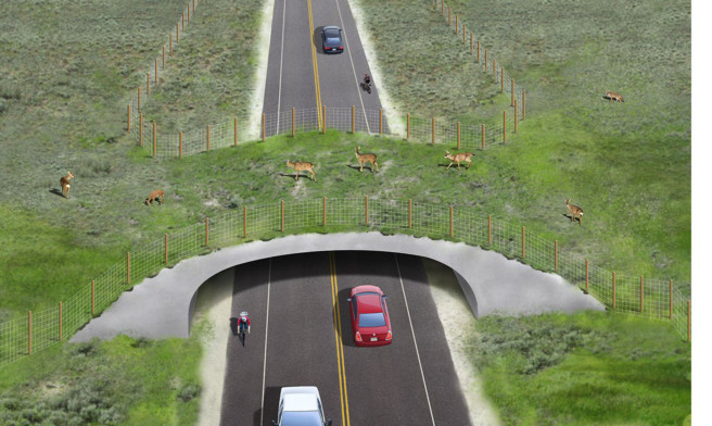 An artists impression of how the overpasses would work.