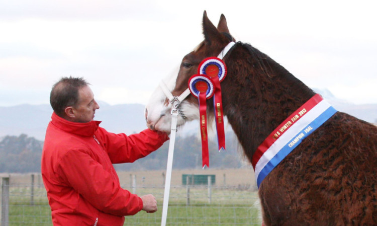 John Anderson with Redcastle Mhorita Millie - Champion Foal and Overall Supreme Clydesdale at the Winter Fair 2013