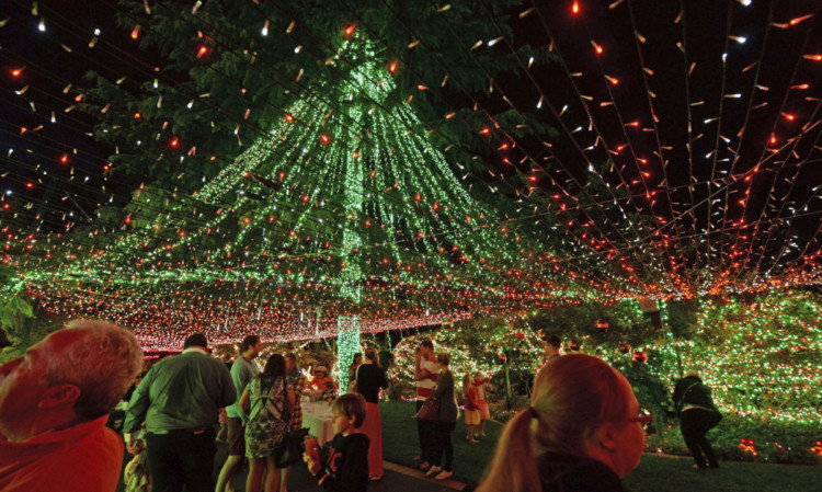 The Richards family home in Canberra, Australia glows with more than half a million lights.