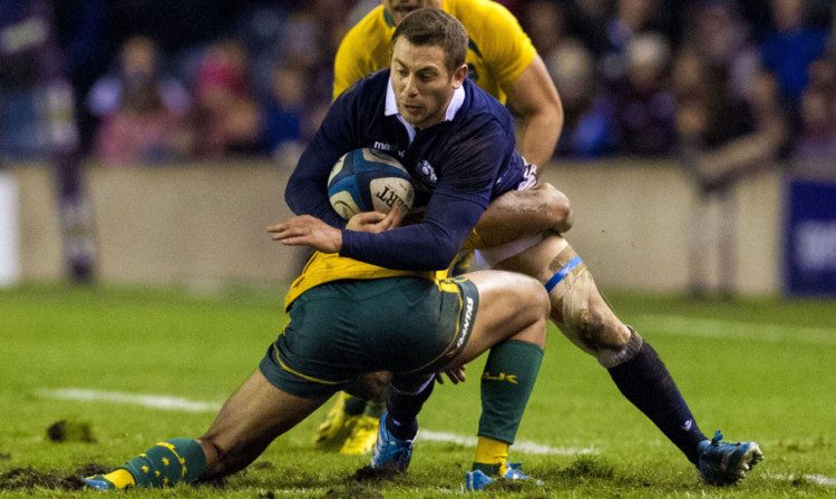 Greig Laidlaw in action against the Wallabies on Saturday.