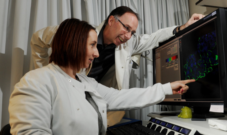 Analysing results from the electron microscope at the Dundee University department of Ninewells Hospital are research assistant Lisa Logie and Dr Calum Sutherland who is researching dementia.