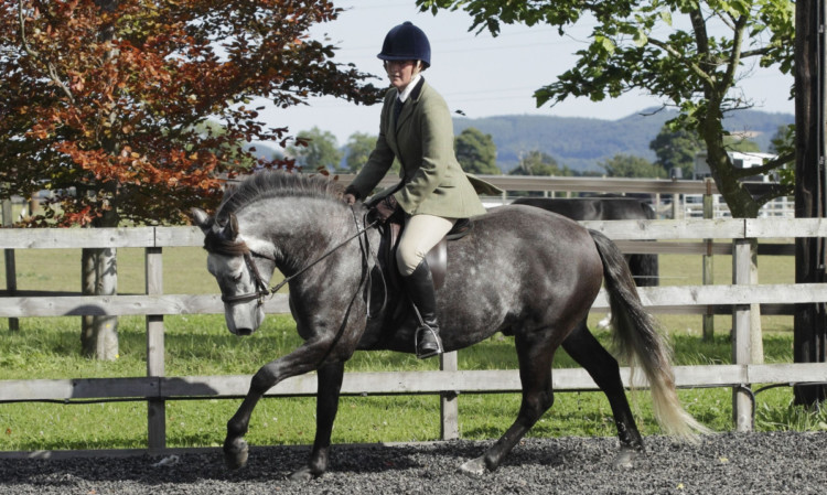 Double prelim winners Julie speirs and her Connemara pony Monty