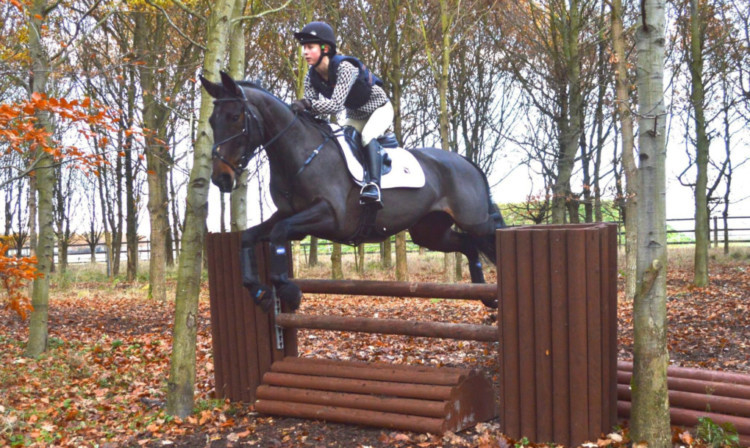 Katherine Lindsay and Bear won both the open and advanced classes