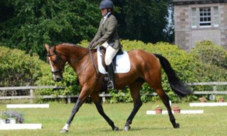 Charlotte Gowing and Rainbow Quest topped the novice 21 on the highest mark of the day