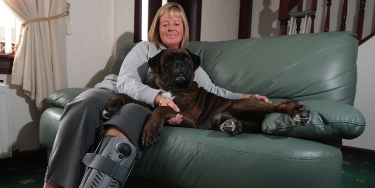 Kim Cessford, Courier 12.09.11 - pictured at home, 21 Glenprosen Street, Montrose where they are both recovering from broken legs are Marion Stewart and her dog Skye - words from Marj in Montrose