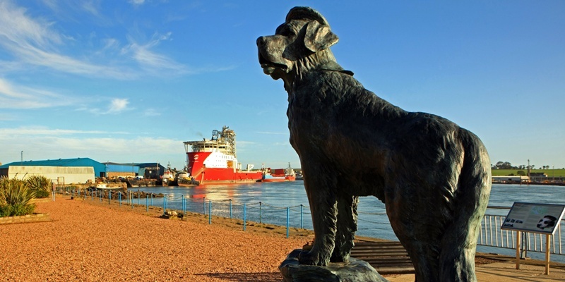 The Bamse statue at Montrose harbour.