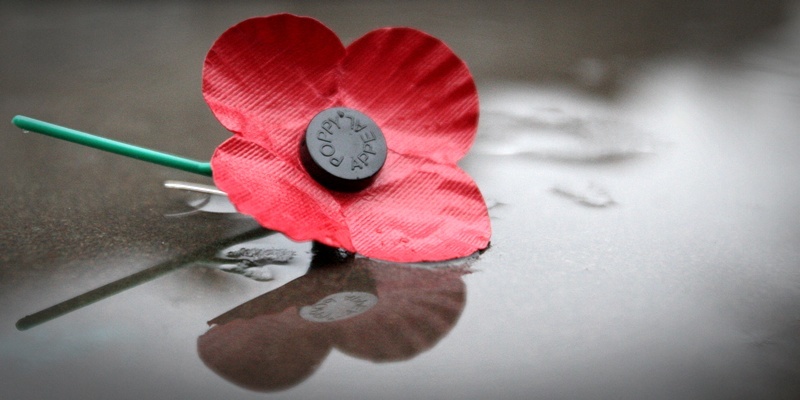 Remembrance Sunday, Remembrance Day.   Scene shows poppy reflected in water at a damp ceremony in Dundee.