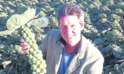 Sprouts to die for: Arbroath farmer Peter Stirling, inset, is to be the sole supplier to Marks & Spencer this Christmas.