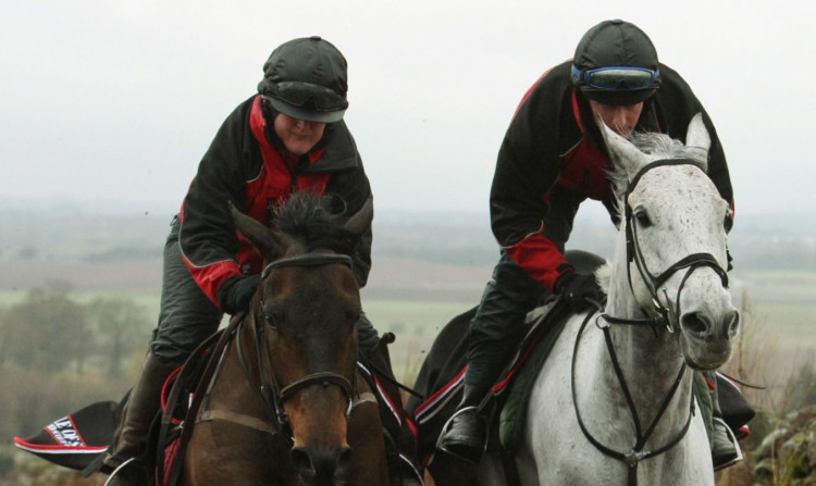 Silver By Nature, with jockey Peter Buchanan, leads the pack during training at Milnathort ahead of the 2011 Grand National.