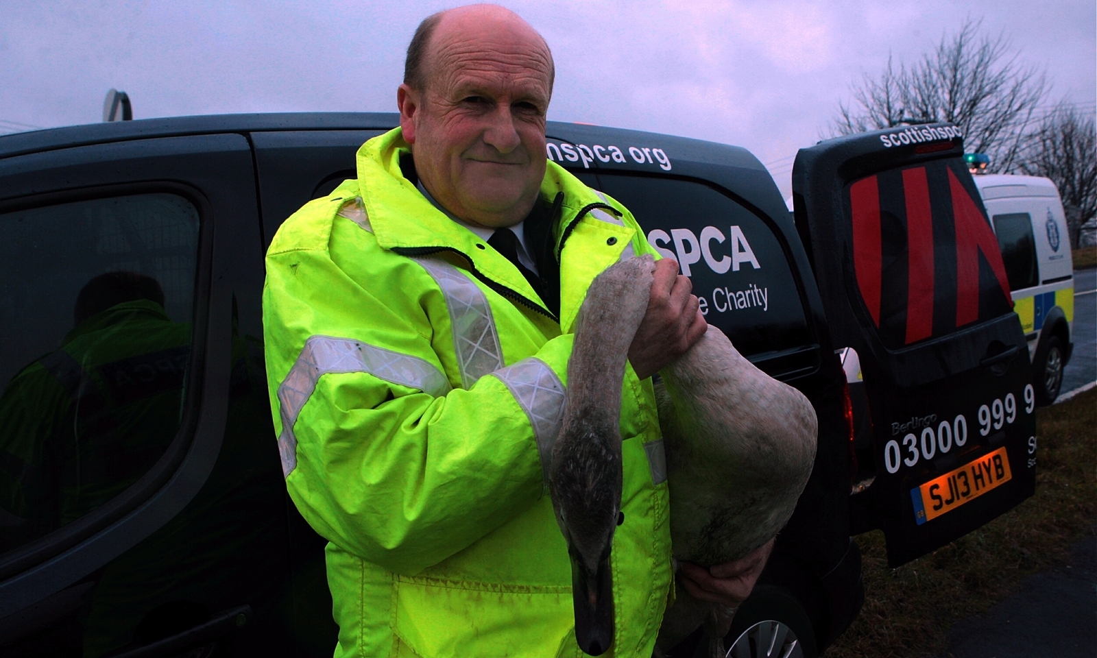 John Stevenson. Courier. 27/12/13.Perth/Kinross. Swan incident near junction 8 near Milnathort on the M90.  Swan was spotted sitting in the central reservation of the carriagway. Pic shows Scottish SPCA Senior Inspector, Don Wilson after rescueing the young swan.