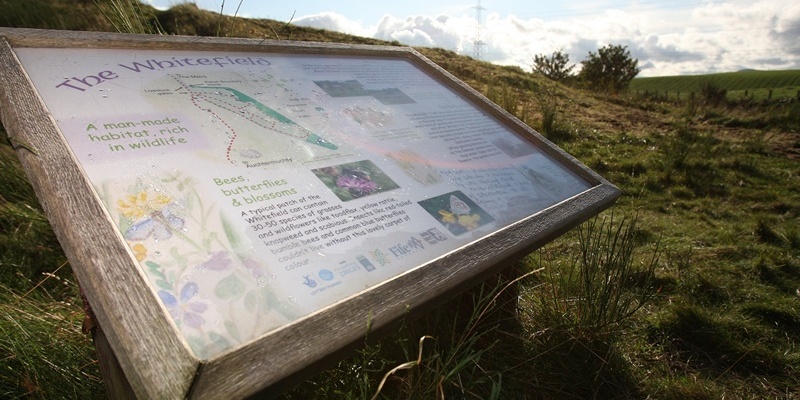 Kris Miller, Courier, 26/10/11. Picture today on Auchtermuchty Common which has been awarded a £62,000 lottery grant to safeguard future of open grassland. Pic shows a chart which details all the wildlife and plants in the area.
