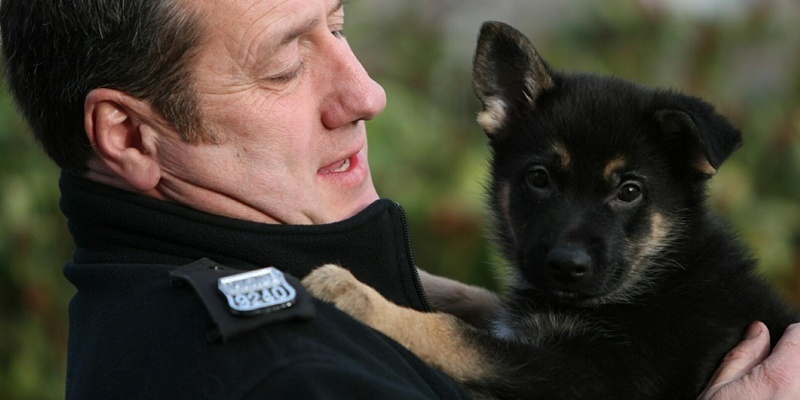 DOUGIE NICOLSON, COURIER, 13/12/11, NEWS.

Pictured at Tayside Police HQ in Perth today, Tuesday 13th December 2011, is Const. Steve Ritchie with the puppy, as yet unnamed. Story by Perth office.