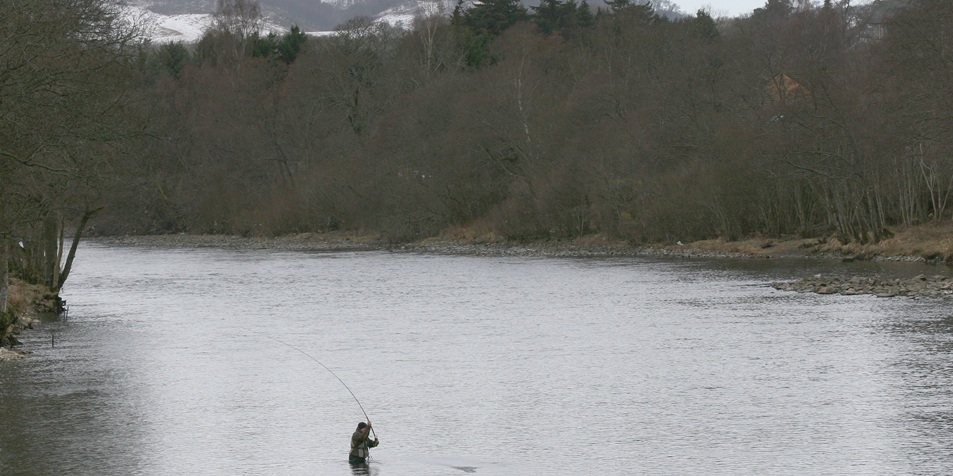 Picture near Pitlochry shows a salmon fisherman braving the icy waters of the Tummel.